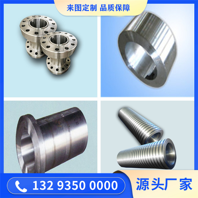 022Cr19Ni13Mo4N不銹鋼鍛件